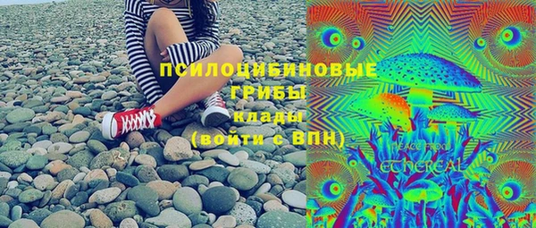 стаф Абаза