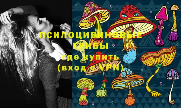 синтетический гашиш Алексеевка