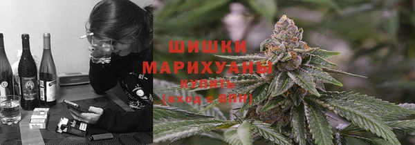 спайс Алзамай